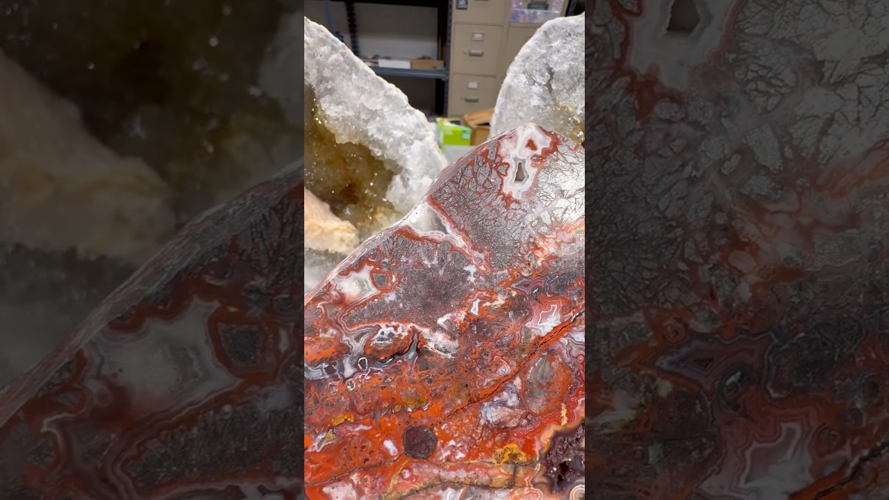 Polished up crazy lace agate