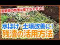 【土づくり】夏野菜の残渣を有効活用！水はけ・土壌改善に役立つ使い方を解説【シェア畑】【農園ライフ】