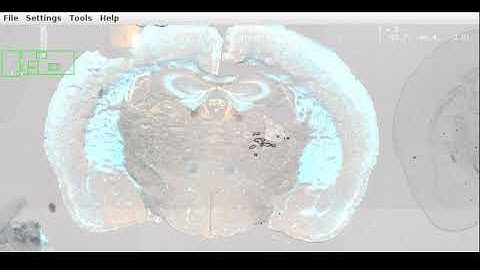 VSI Slide BigDataViewer Vizualization