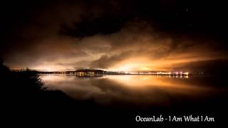 Video thumbnail of "Above & Beyond pres. OceanLab - I Am What I Am (HQ)"