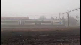 Uts 444 Altura Molina