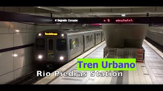 The Little Subway of Puerto Rico - Buses, Street Art, Music