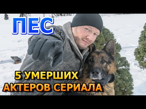 5 УМЕРШИХ АКТЕРОВ СЕРИАЛА ПЕС! РОЛИ, ПРИЧИНА СМЕРТИ