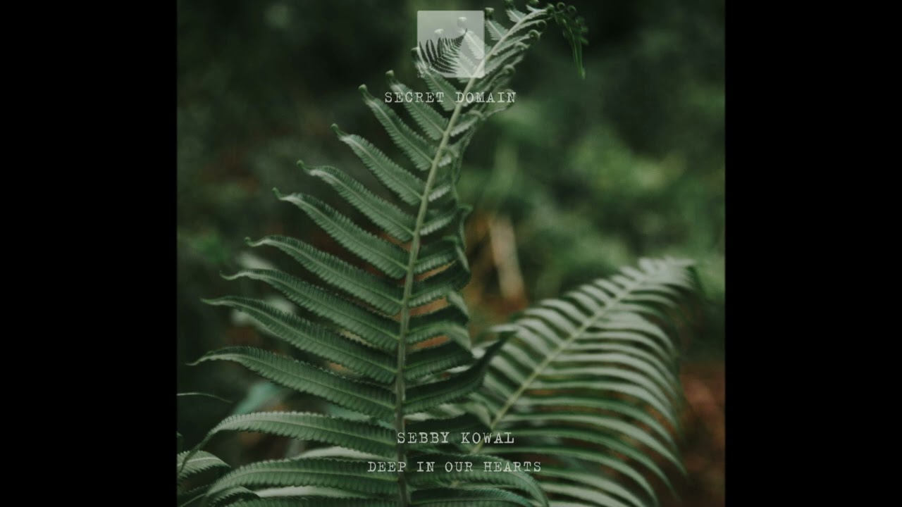 Sebby Kowal - Morning Sun (Secret Domain)