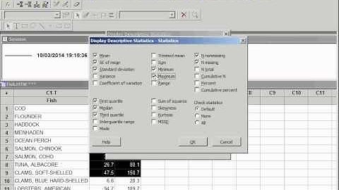 MINITAB Descriptive Statistics (use full screen)