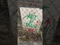 Un regalo suculento para quien lo encuentre – streetart video, Francisco de Pájaro, arte urbano
