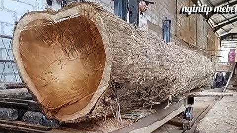 FANTASTIS !! Kayu Jati Panjang Bahan Joglo Seharga 2 Ekor Kerbau, Digergaji Sempurna Oleh Mr. Semar.