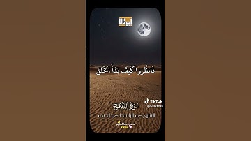 #quran #fyp #viral #قران #قران_كريم #fypシ #عبدالباسط_عبدالصمد #اكسبلور #تلاوة_خاشعة #القرآن