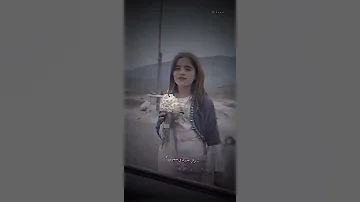 وش عذرك في هجراني تنسى الحب وتنساني عبدالله ال فروان البنت اللي تبيع ورد في الشارع 