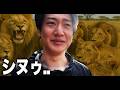 【タンザニア】初めてタンザニアきたけどさぁ...【ライオンあり】【カバあり】