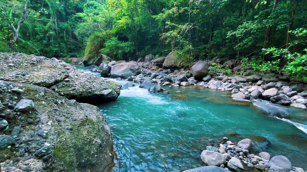 Sleep Better with Peaceful River Sounds | Relaxing Water White Noise for Insomnia & Anxiety