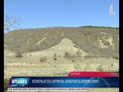 შემთხვევა გორის მუნიციპალიტეტში