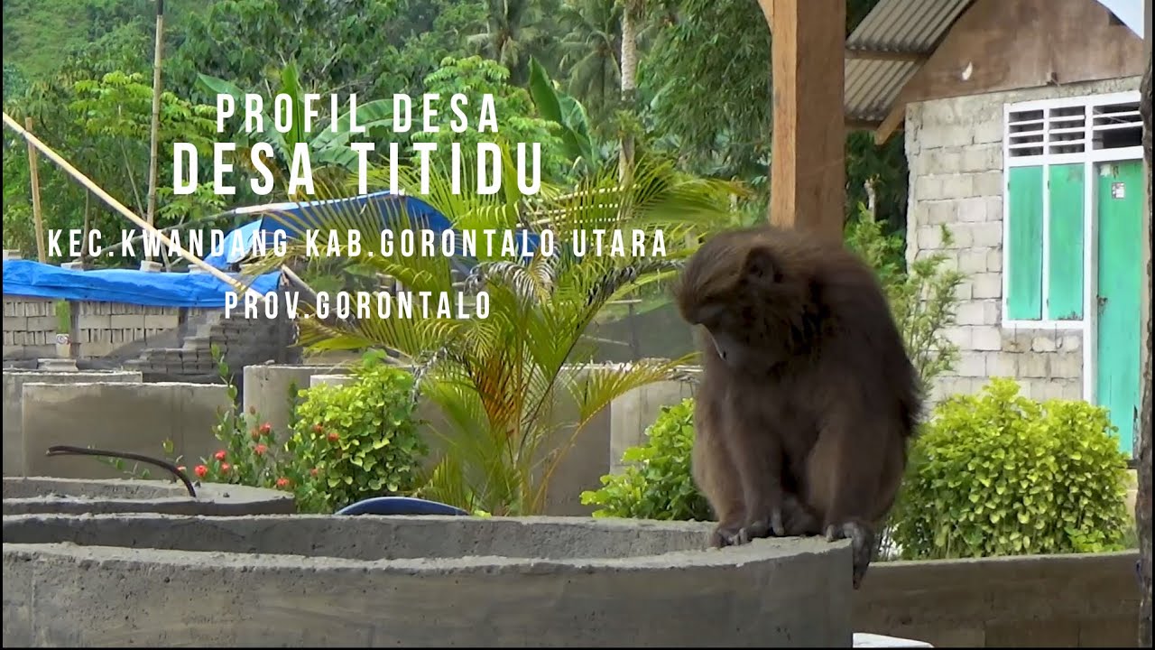 PROFIL DESA - DESA TITIDU (2023)