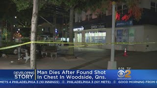 Man Found Shot Dead In Queens