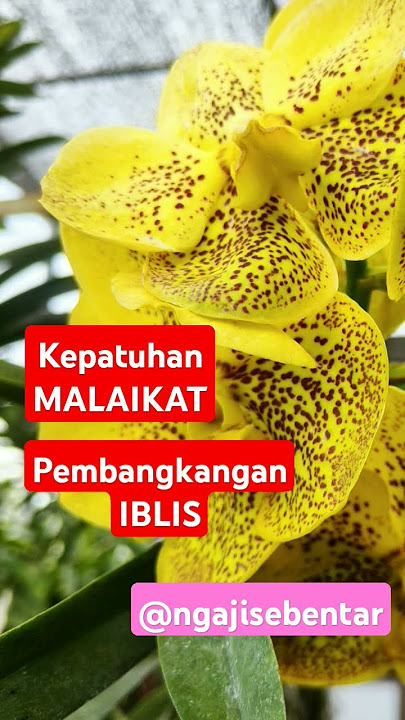 😈Iblis Membangkang ketika diminta Bersujud kepada Adam #alquranonline #tartilmerdu #shorts #short👹😈
