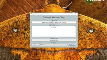 Easy Regular Expression Tester - easytoolsoftware.com