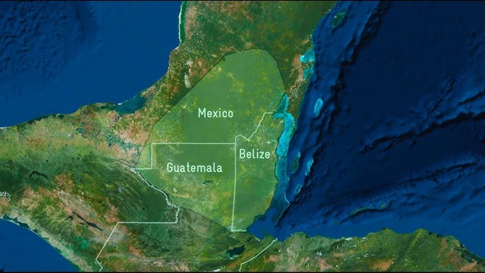 Monitoreo de biodiversidad en la Selva Maya - YouTube