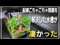 配線ごちゃごちゃ問題を解決した水槽をレイアウトしてみた‼ テトラの新商品が凄すぎる‼ aquarium アクアリウム 熱帯植物 金魚 熱帯魚 水草 流木 メダカ