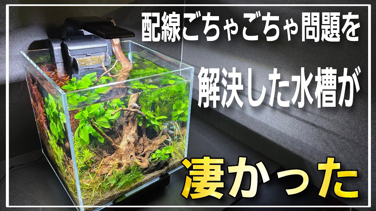 配線ごちゃごちゃ問題を解決した水槽をレイアウトしてみた‼ テトラの新商品が凄すぎる‼ aquarium アクアリウム 熱帯植物 金魚 熱帯魚 水草 流木 メダカ