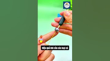 Thẻo câu cá ngược đáy #taphoadocau #fishing #dammecauca #fishinglife #caucathugian #caucagiaitri