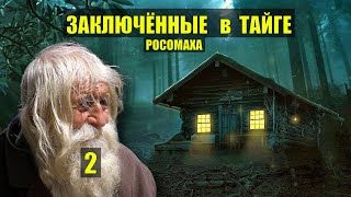 ПОБЕГ из ТЮРЬМЫ ДЕД САВВА СУДЬБА ЗАКЛЮЧЁННЫЕ в ТАЙГЕ ДОМ в ЛЕСУ ПАСЕКА ИСТОРИИ из ЖИЗНИ СЕРИАЛ 2