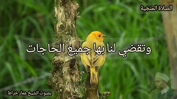 الصلاة المنجية على خير البرية بصوت القارئ والمنشد الشيخ عمار خراط