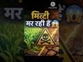Chemical Khad = Mitti Ki Maut 😱 | #shorts