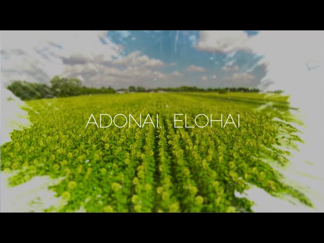 Paul Wilbur - Adonai Elohai (Lyric Video)