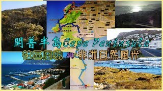 開普半島Cape Peninsula社區風貌與非洲自然風光