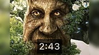 Nicos Nextbots  Speedrun nn-Russia to nn-flatgrass%