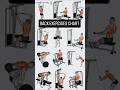 Back Workout l Exercises l #shorts
