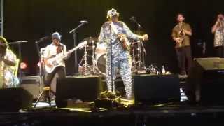 Ebo Taylor-Nsu Na Kwan live at Walthamstow Garden Party 19/07/15