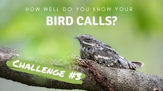 How well do you know your bird calls? | Challenge no.3 screenshot 5