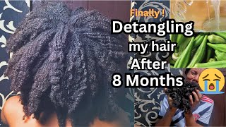 Detangling my 4C hair for the first time after 8 months I'm almost baldDIY Okra gel detangler #4c