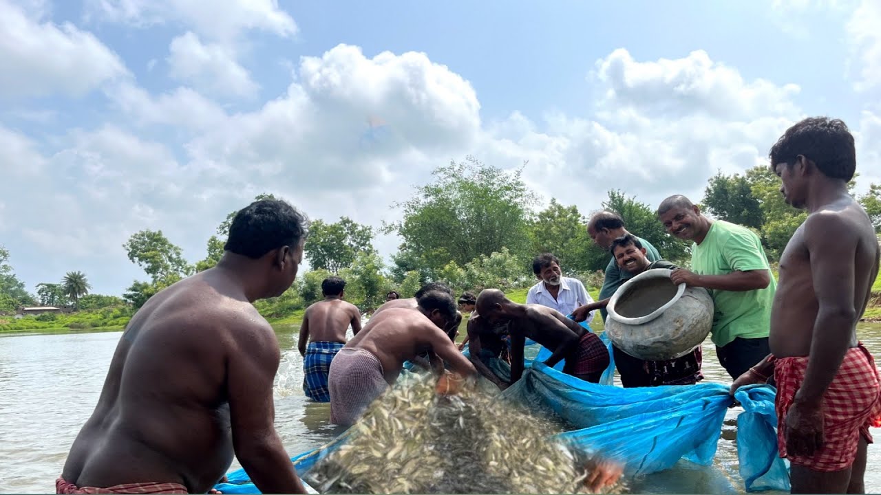 আজ সকাল সকাল নতুন পুকুরের জন্য মাছ আনতে গেলাম||🐟🐬