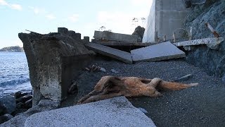 被災地　車中泊の旅　11　　田野畑村、岩泉町、宮古市