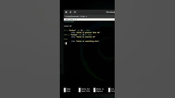 Bash for Beginners – Conditional Logic with if, elif, and case