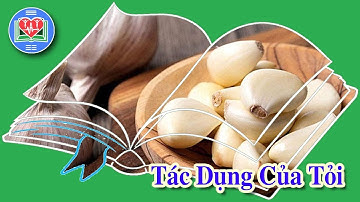 Tác Dụng Của Tỏi Đối Với Sức Khỏe Chủ Động Con Người