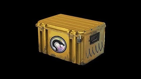 Day 1  (Recoil Case)