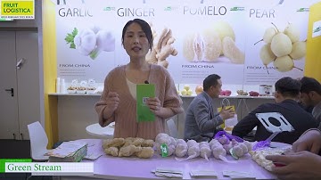 [FRUIT LOGISTICA  2023 Berlin] Garlic, ginger, pomelo, apple pear and fruits - Green Stream