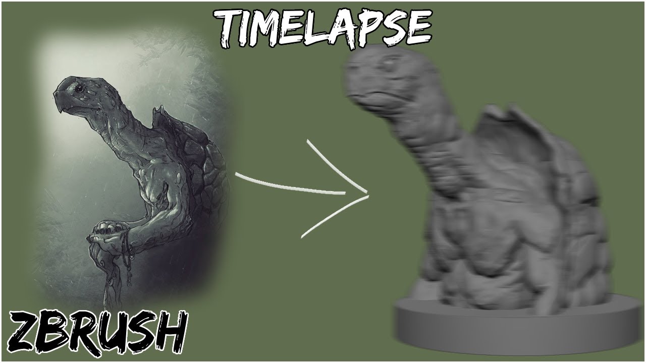 Turtle - Timelapse - YouTube