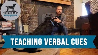 # 1 Trick For Teaching Verbal Cues In Dog Training