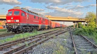 Ludmila BR 232 1004 " Elisabeta Rizea a companiei DB Cargo România