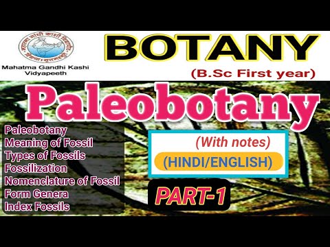 Paleobotany/Palaeobotany/Fossil/Types of Fossils