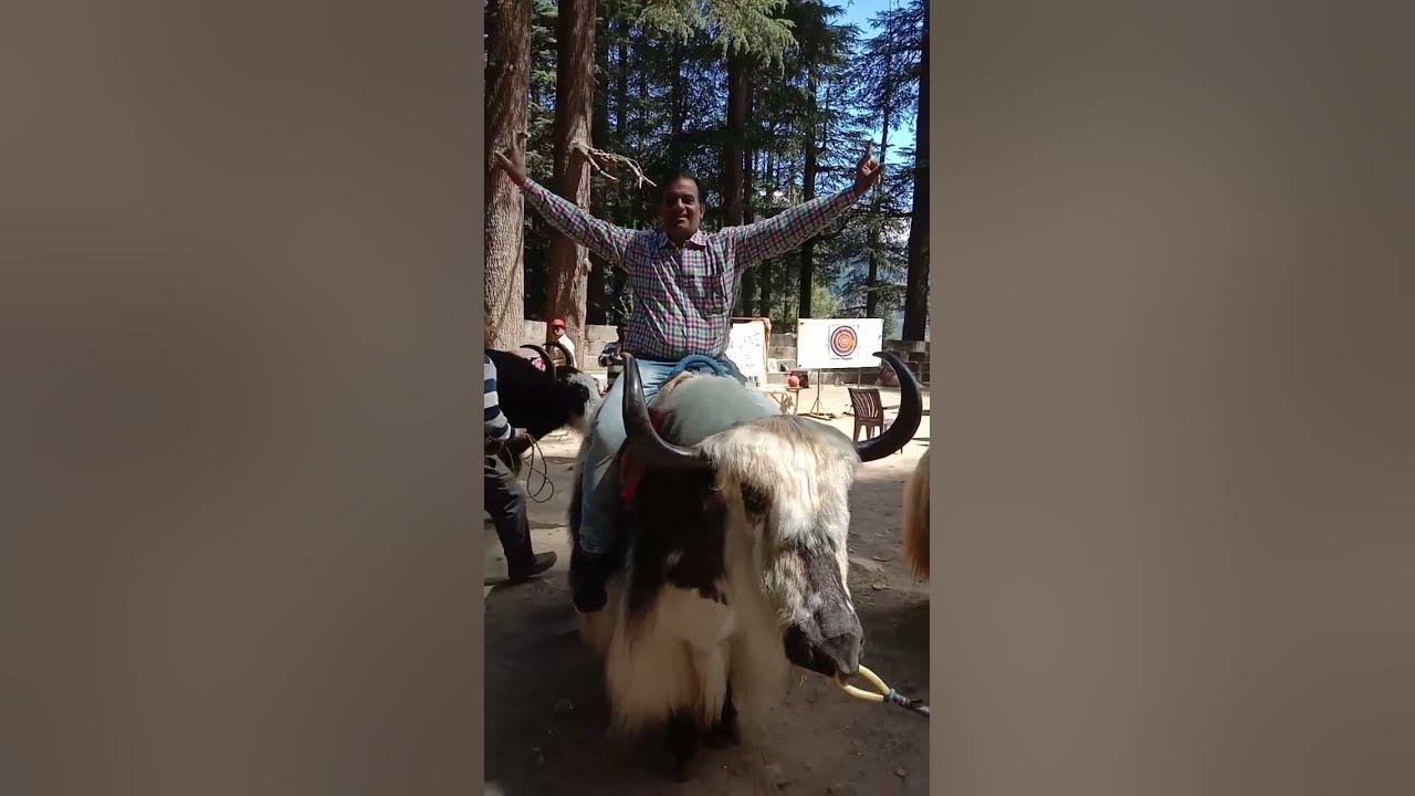 Balangir ra Machha #viralvideo #shortvideo #balangir