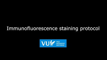 Immunofluorescence staining protocol