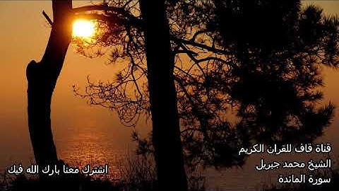 سورة المائدة الشيخ محمد جبريل  Al Maeida Mohamad Jibril قران كريم