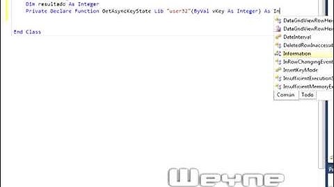 Keylogger Basico en VB.NET