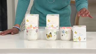 Lenox Set of 3 Butterfly Meadow Filled Candles 9oz. on QVC