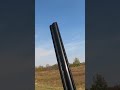 Pheasant hunt clip